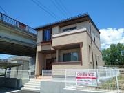 シン アペックス