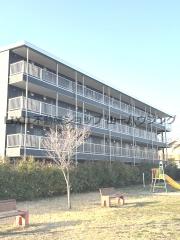 メルシー春野