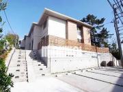 il pino 東海岸南