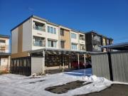 TOWN CLOVER東81