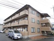 ハイム波多野II