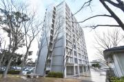 UR洛西新林