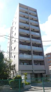 RobustCourt