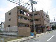 LiAnge北六甲