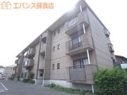 シャトレシラハタ