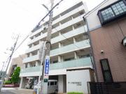 アーク松の木通り