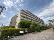 ステラメゾン武蔵小山