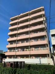 ロハス星川