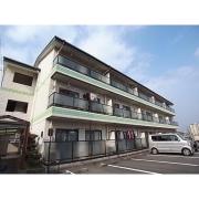ロフティー津市場
