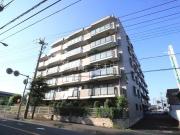 グリーンパレス和光