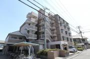 Ocean