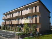 Stella Polare