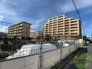 D-room Dearcourt 幸町 2