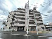 ライズウィステリア
