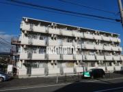 グローリーヤナセ