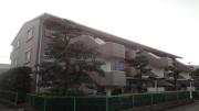 ベルハイム木の宮