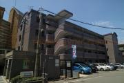 フレックス20