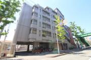 CONRAD柴原
