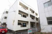 プチキャロル
