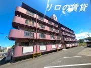 フラット2古賀