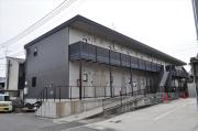 アンプルールチェリー