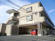 グレースコート一宮