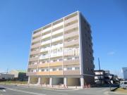 M′s BLD.