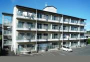 CaSa YaMaNa A