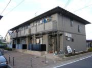 リサージュ桂
