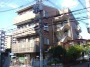 フォレストインサイド1