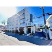 holly