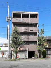 ゴールドクレスト