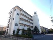CCMizuho
