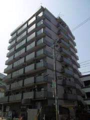 エルエムヒルズ平野