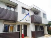 シェルティー菊名