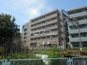 サンフォレスト