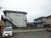 エーライン泉A・B ペット