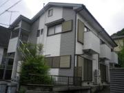 グリーンヨコオ
