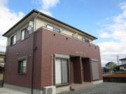 ブルーベリーIII