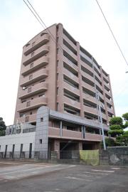 アヌビアス紫川