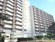 上高田四丁目団地一号棟