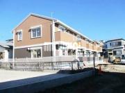 エヴァーグリーン光林