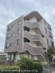 T.Nアロン