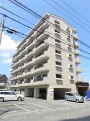 クレベール片野