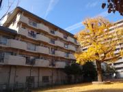 興電マンション