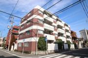 スターハイム徳川