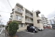 マンション善
