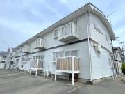 Yセフティー