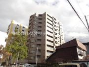 ラピス円山外苑