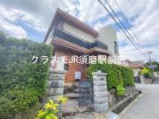 コンパーニュクノキ